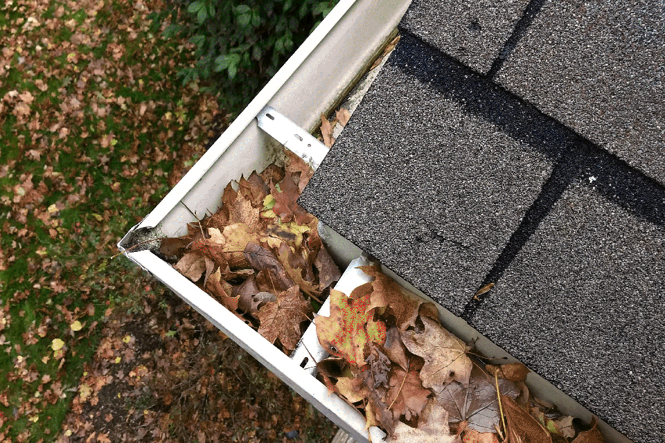 Gutter filled with leaves and dust