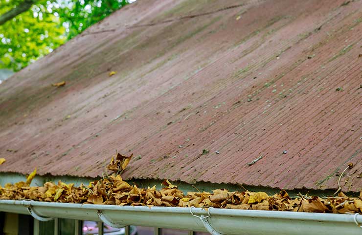 Dusty roof and gutter