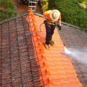 Residential roof washing in Toronto