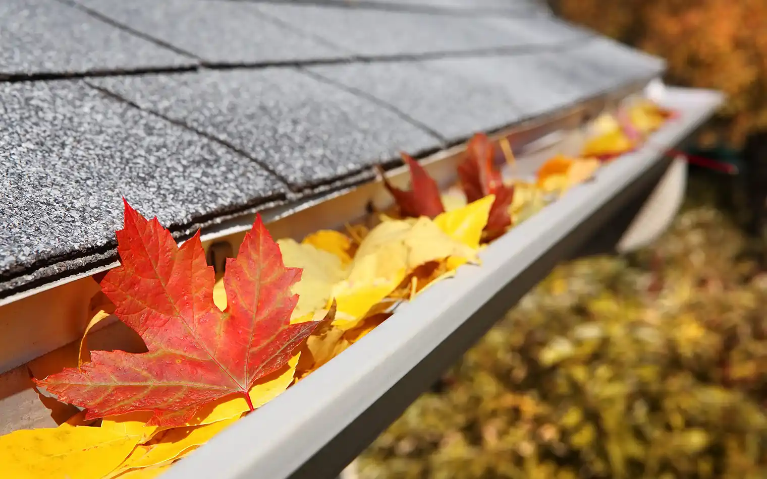 Gutter cleaning methods