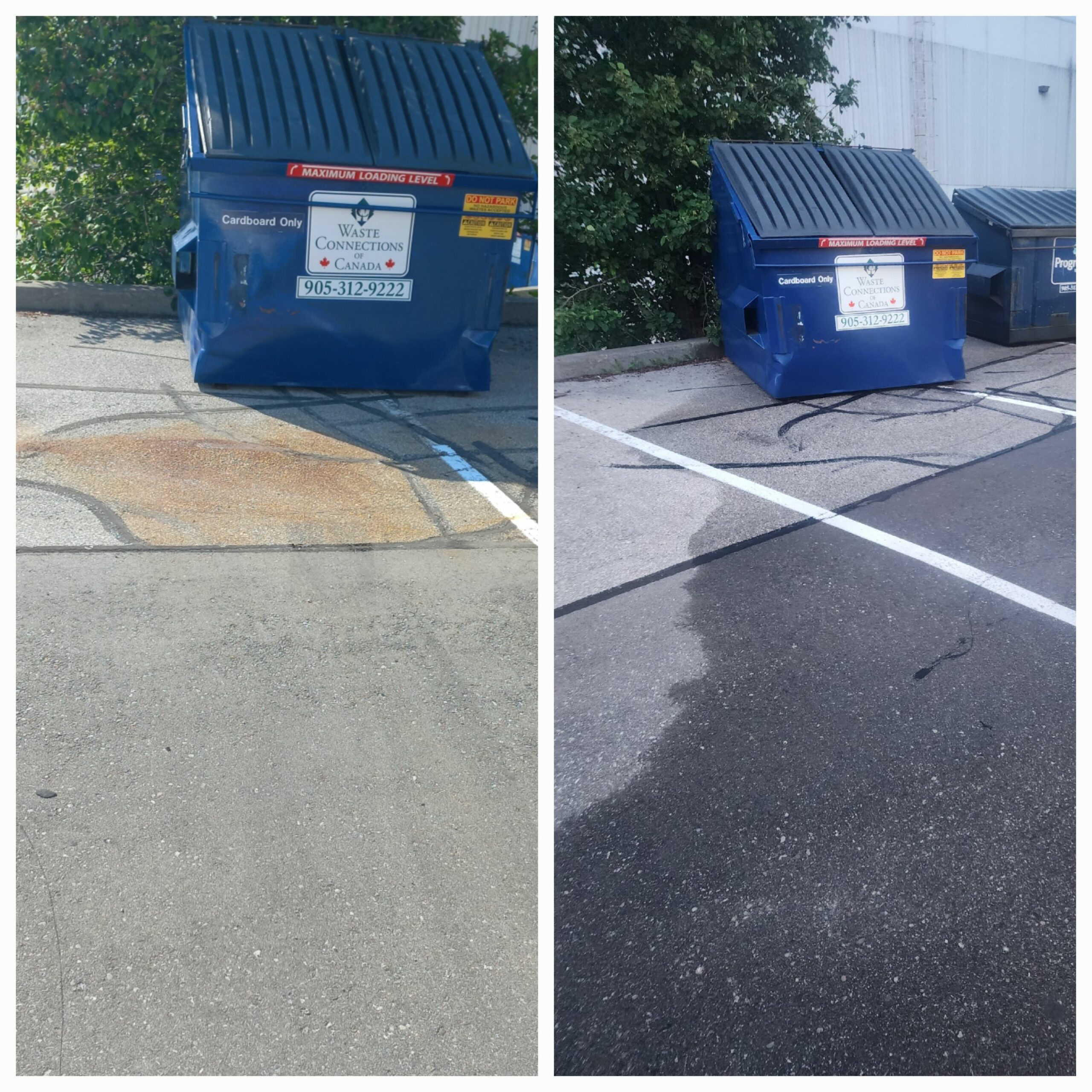 Professional stain removal service in North York