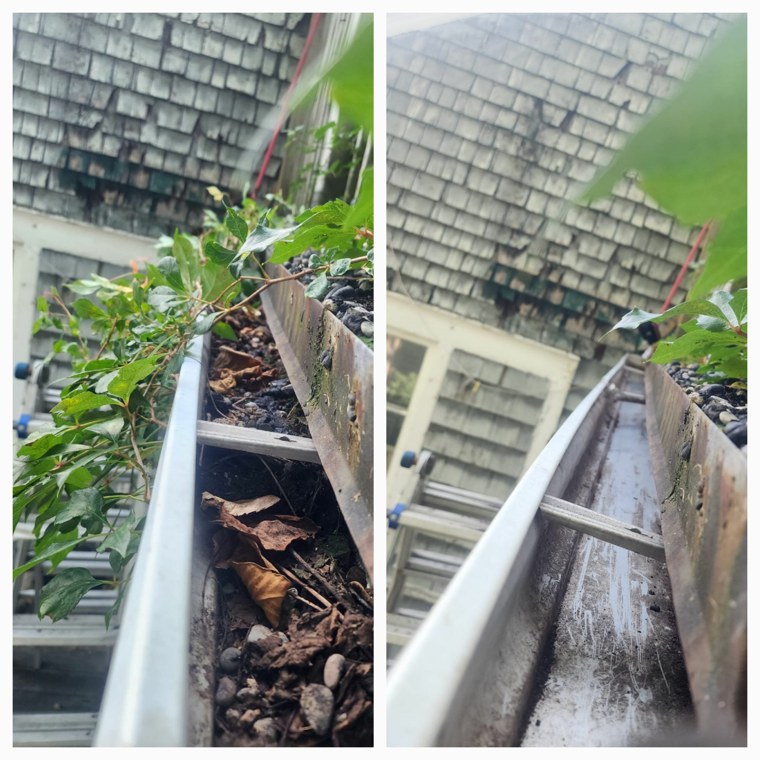 Professional gutter cleaning service in North York