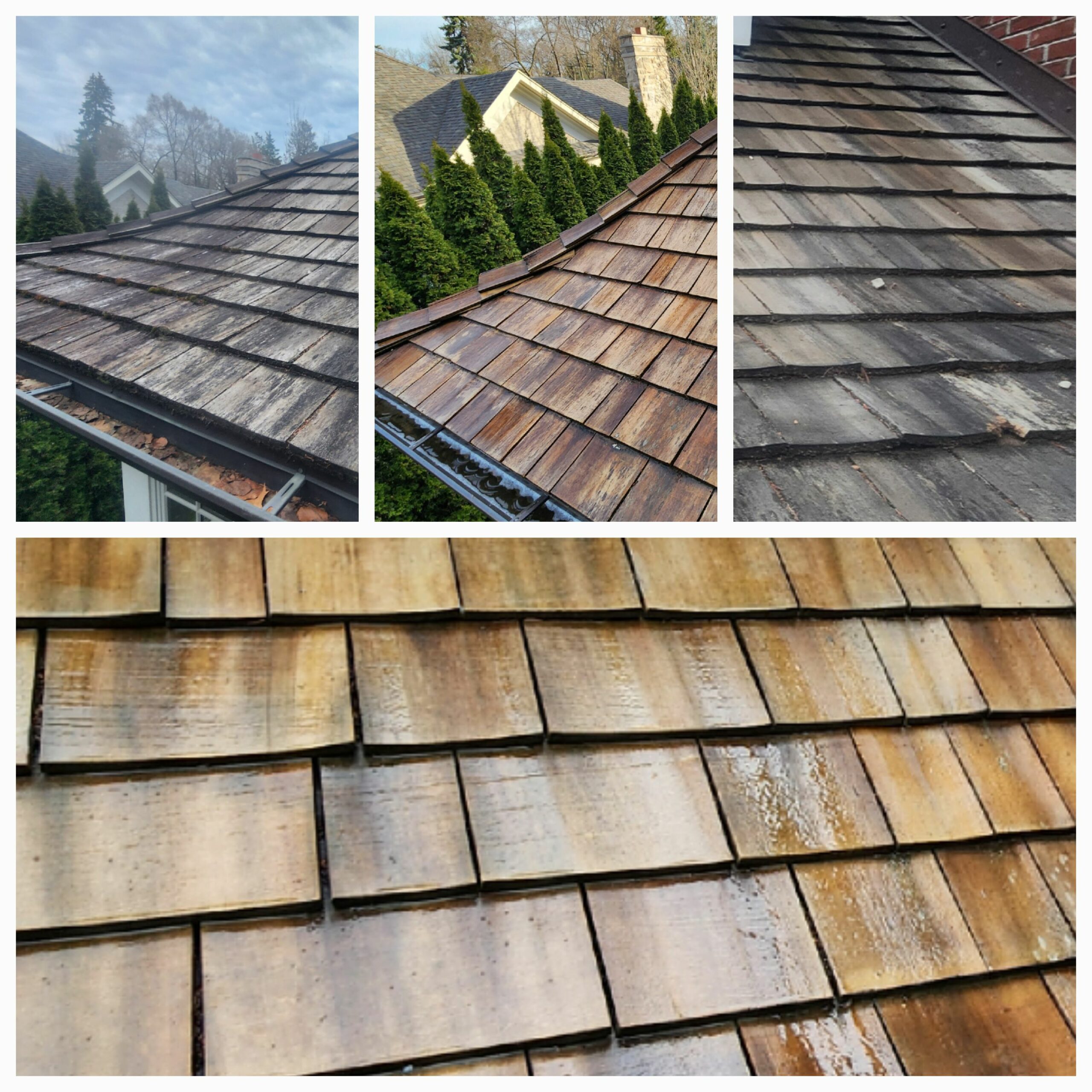 Professional pressure washing team