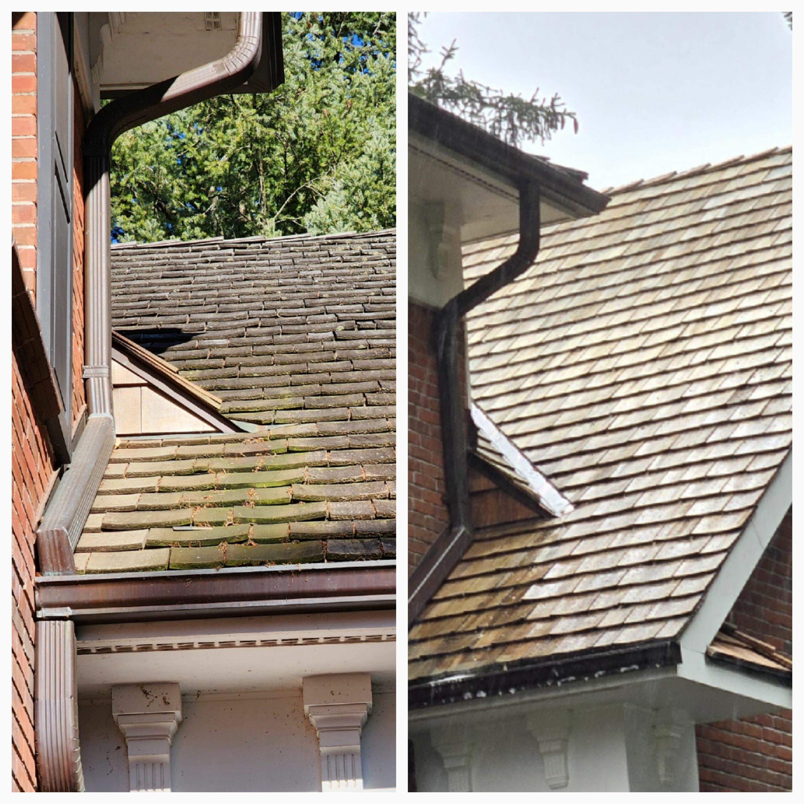 Residential roof cleaning results