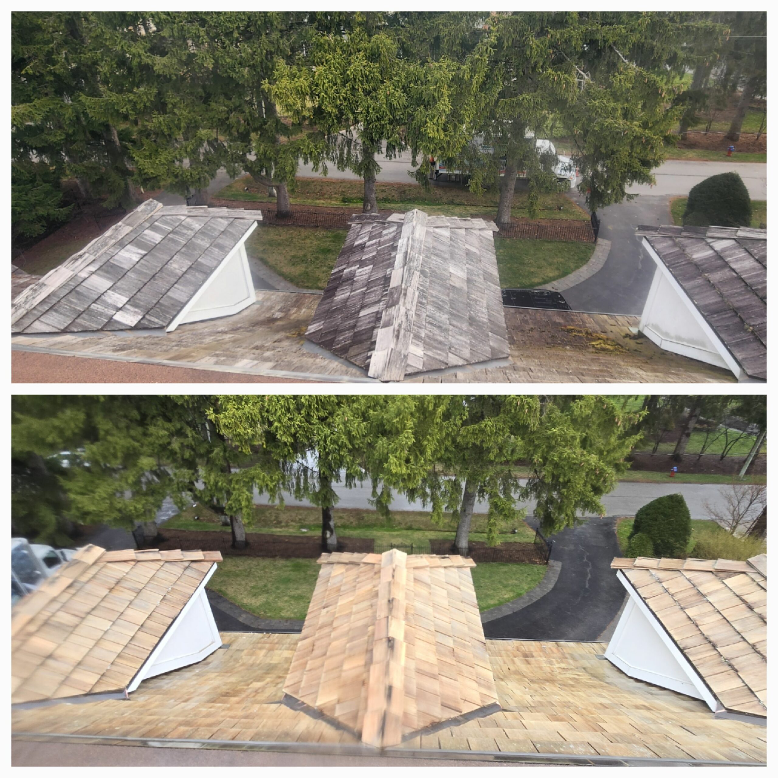 Commercial roof washing services