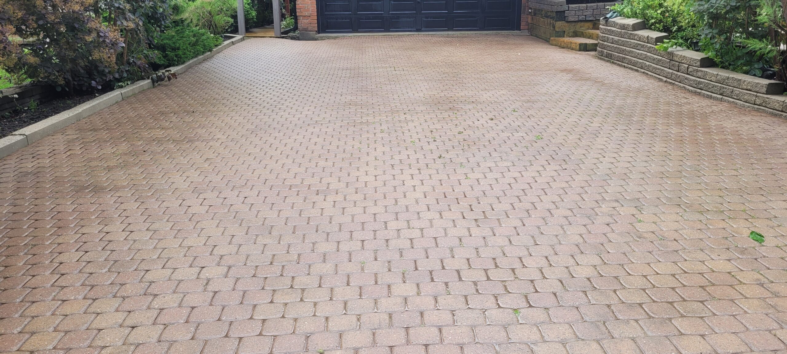After Professional Cleaning