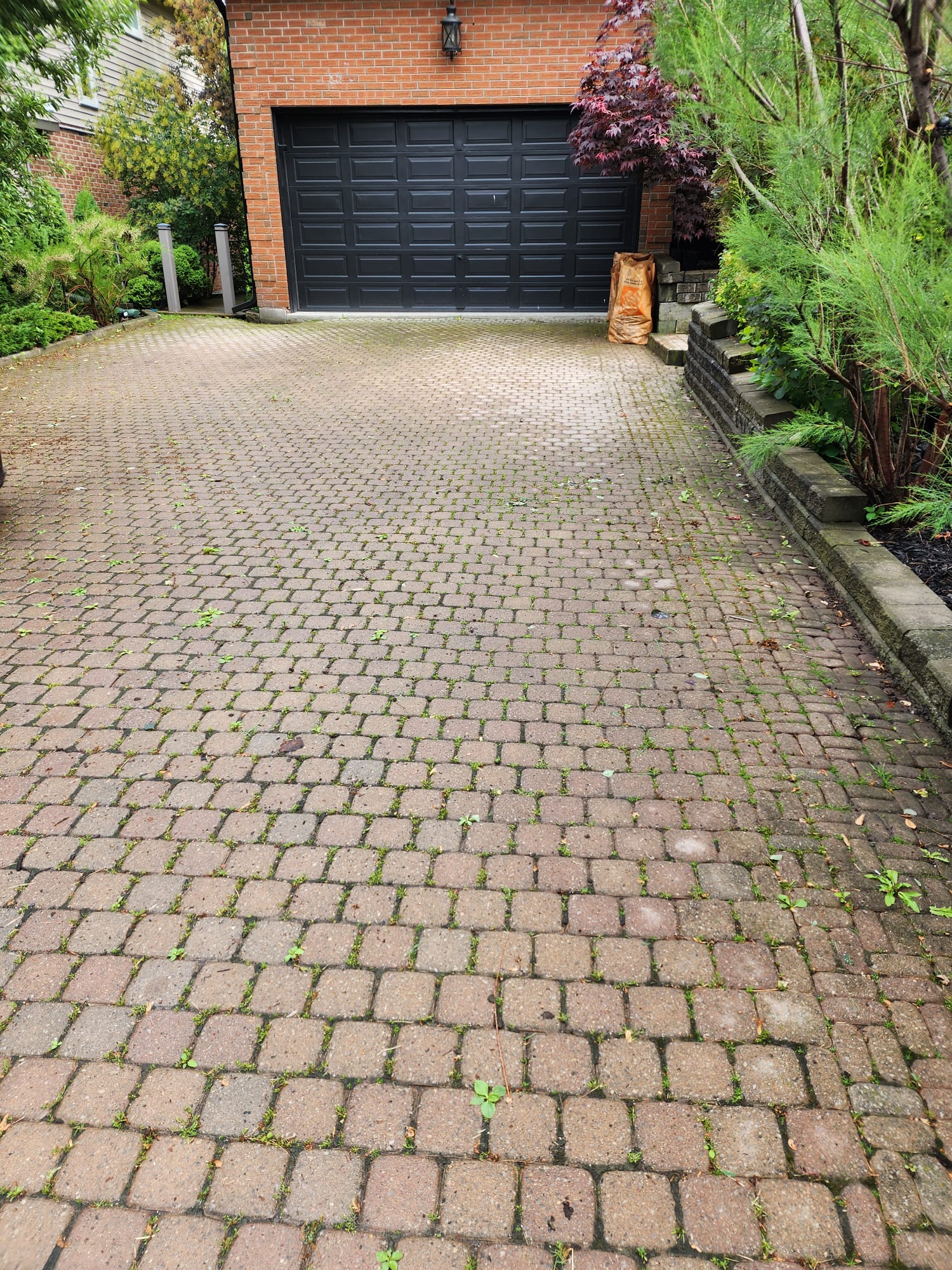 Before Professional Cleaning