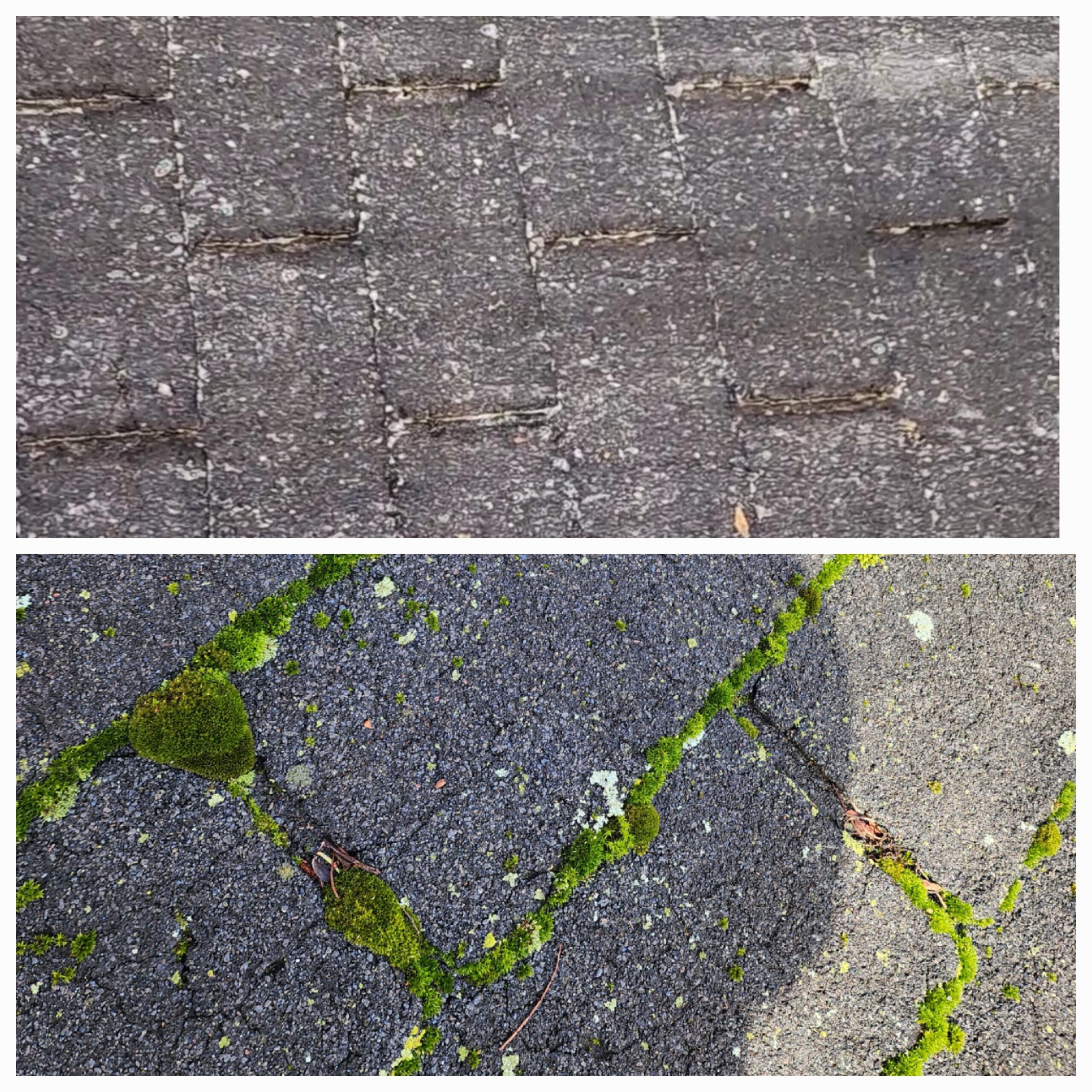 Residential roof cleaning results