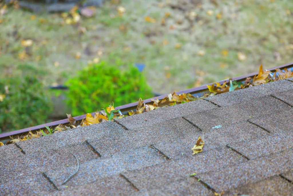What Happens If You Never Clean Your Gutters?